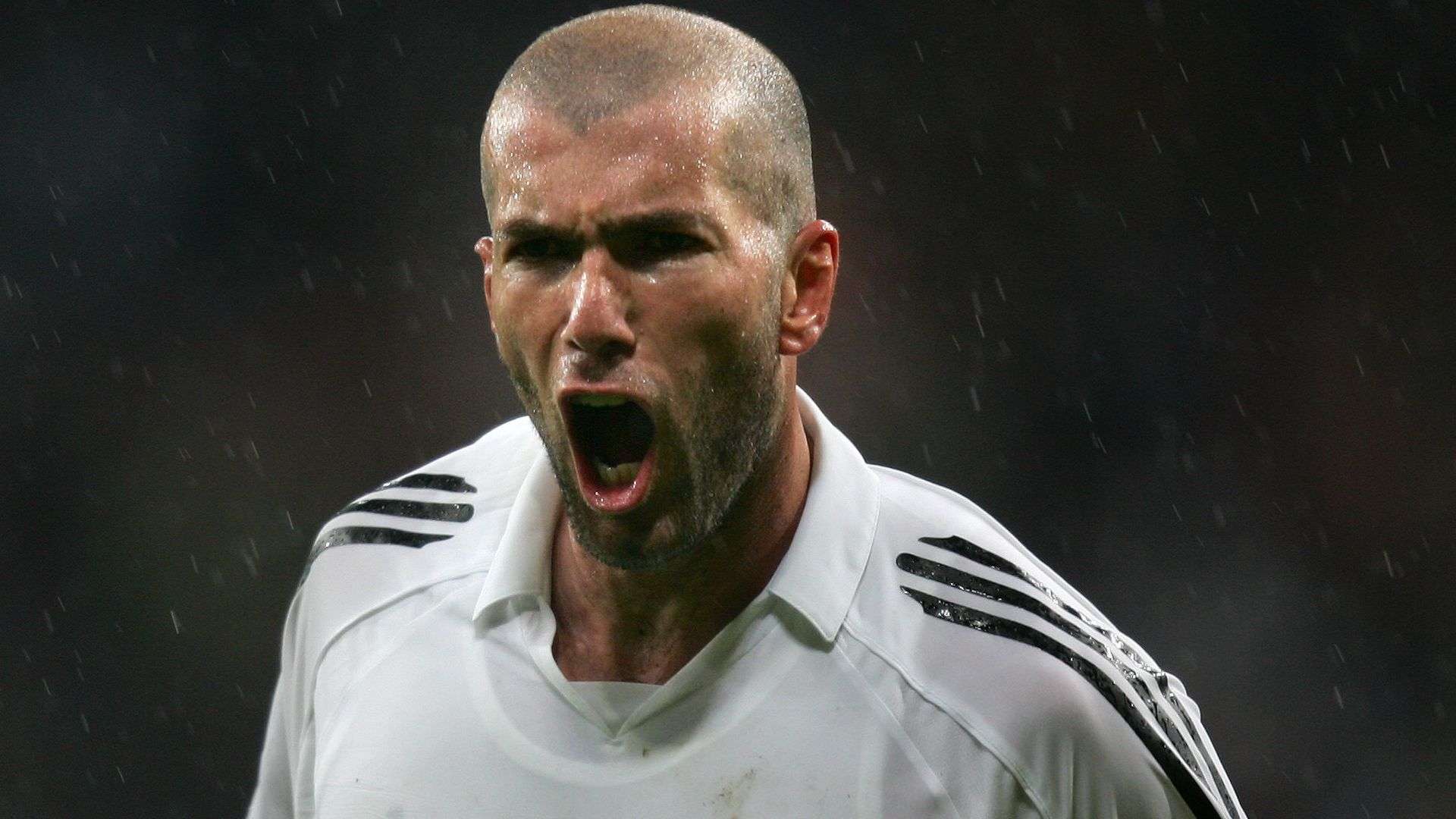 這將為他們 這將為他們